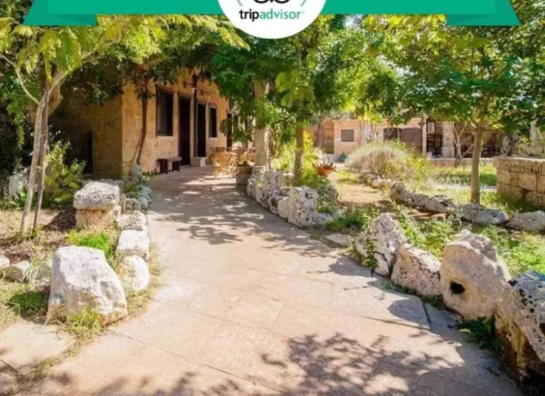 Aamiaismajoitus (B&B) Masseria Borgo Del Gallo