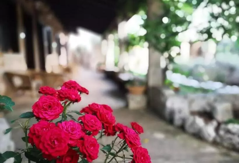 Aamiaismajoitus (B&B) Masseria Borgo Del Gallo