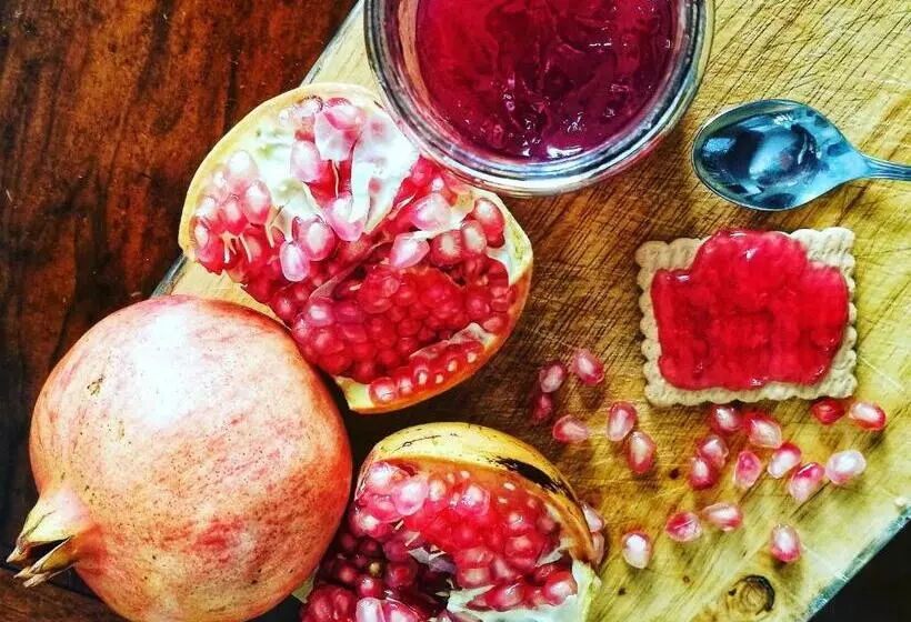 Aamiaismajoitus (B&B) Masseria Borgo Del Gallo