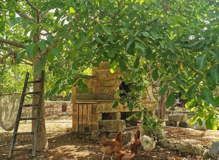 Aamiaismajoitus (B&B) Masseria Borgo Del Gallo