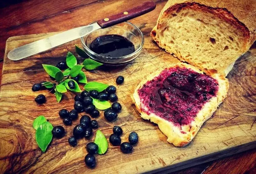 Aamiaismajoitus (B&B) Masseria Borgo Del Gallo