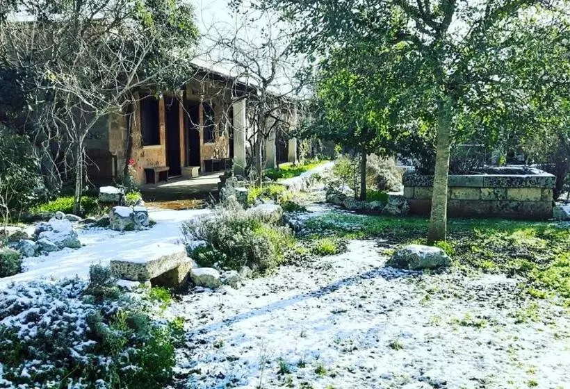 Aamiaismajoitus (B&B) Masseria Borgo Del Gallo