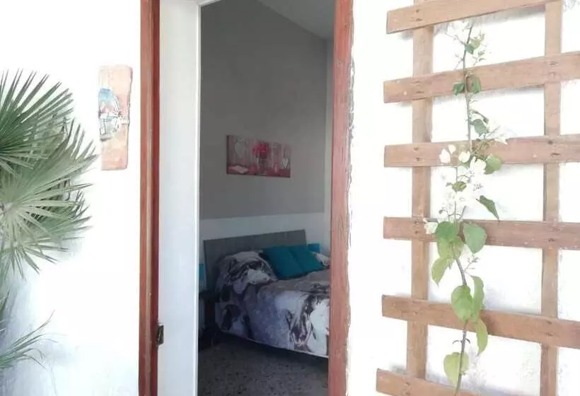 پانسیون Amélie House