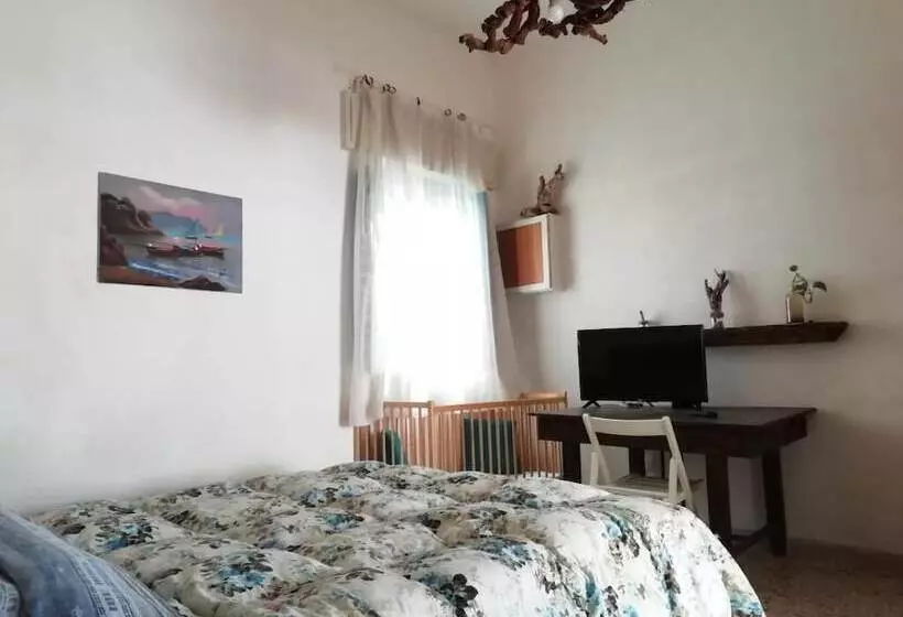 پانسیون Amélie House