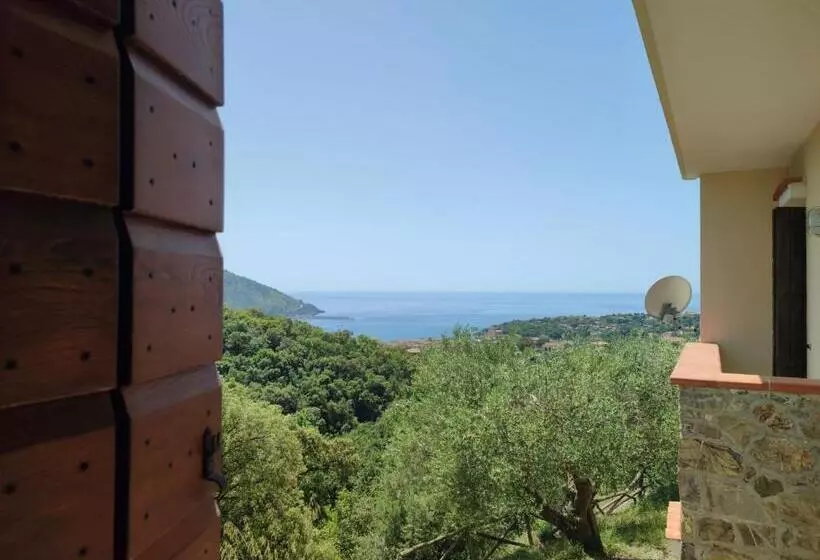 Aamiaismajoitus (B&B) Altana