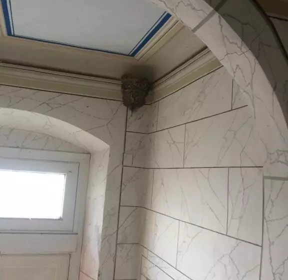 تختخواب و صبحانه Villa Eugenia