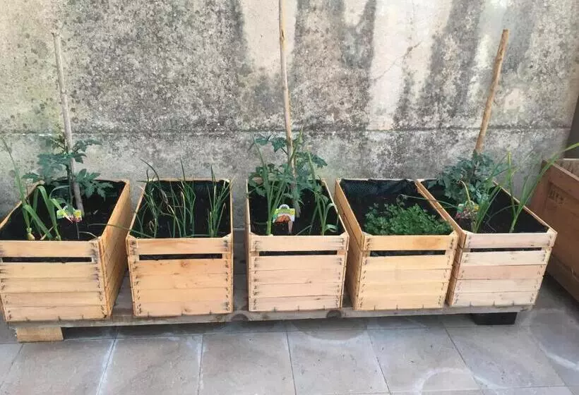 تختخواب و صبحانه Villa Eugenia