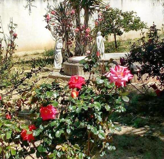 تختخواب و صبحانه Villa Rosa Maria