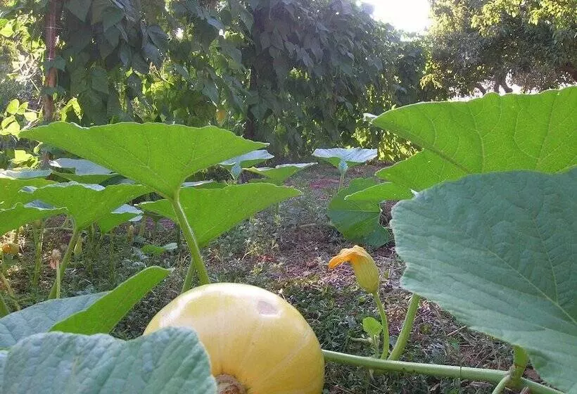 田舎風ホテル Agriturismo Civarra