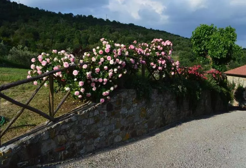 Maaseutuhotelli Agriturismo Podere Terrena