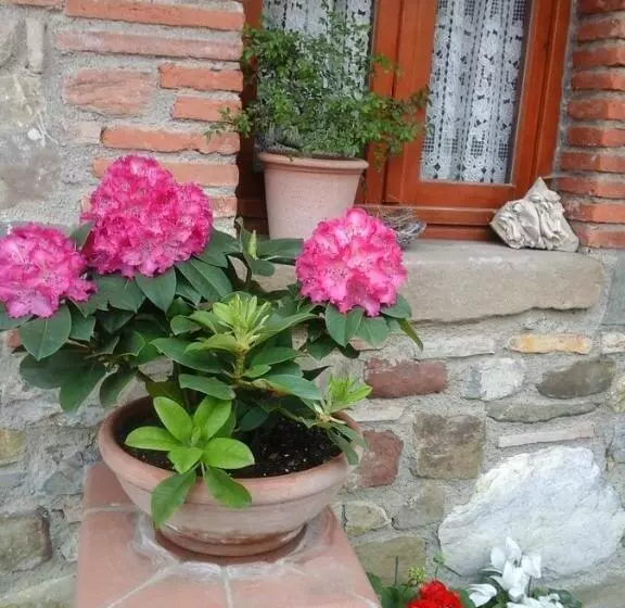 Maaseutuhotelli Agriturismo Podere Terrena