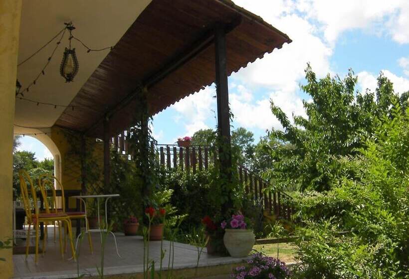 بنسيون Life B&b