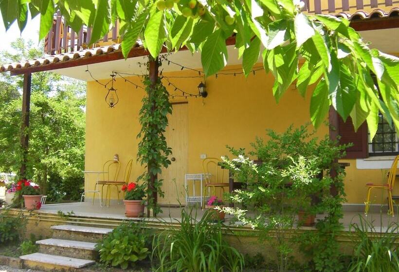 بنسيون Life B&b