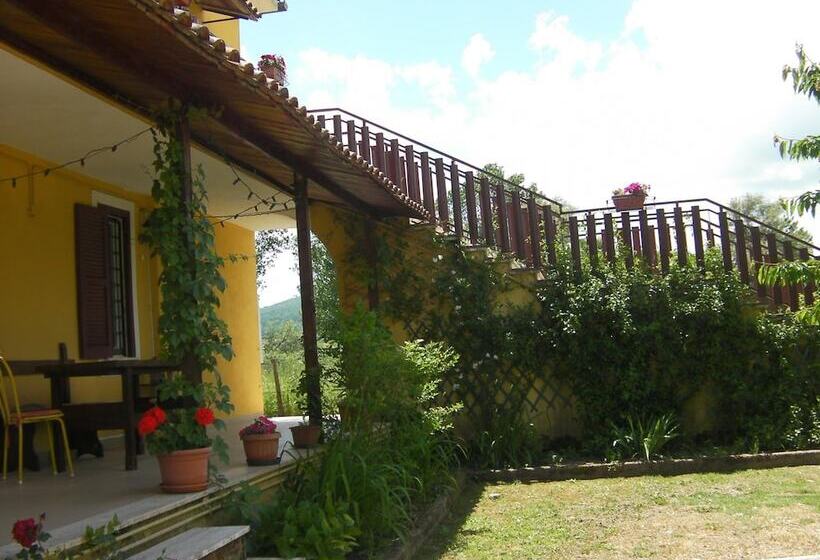 פנסיון Life B&b