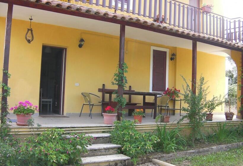 بنسيون Life B&b