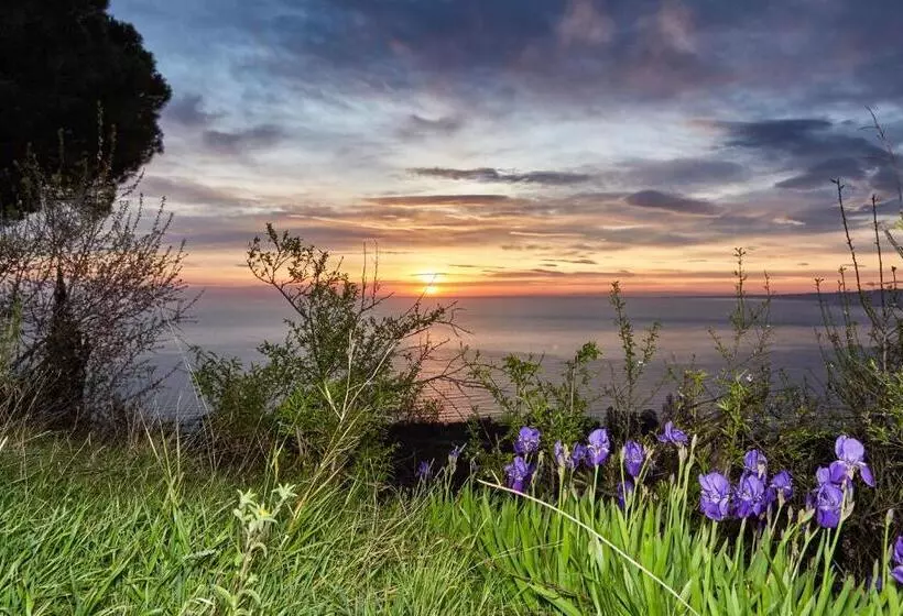 تختخواب و صبحانه Best Vasto