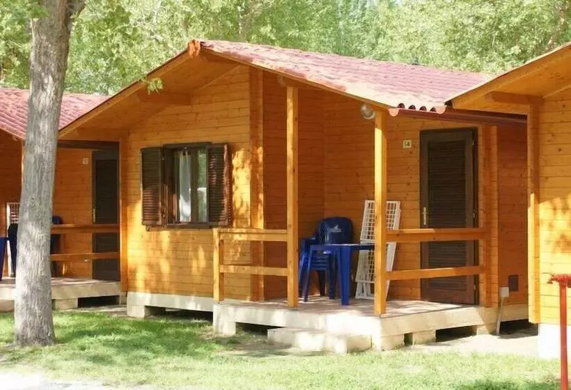 ホテル Camping Viareggio