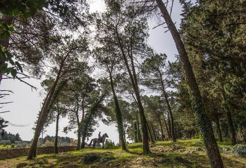 乡村酒店  Casale Dei Pini   Nature Room