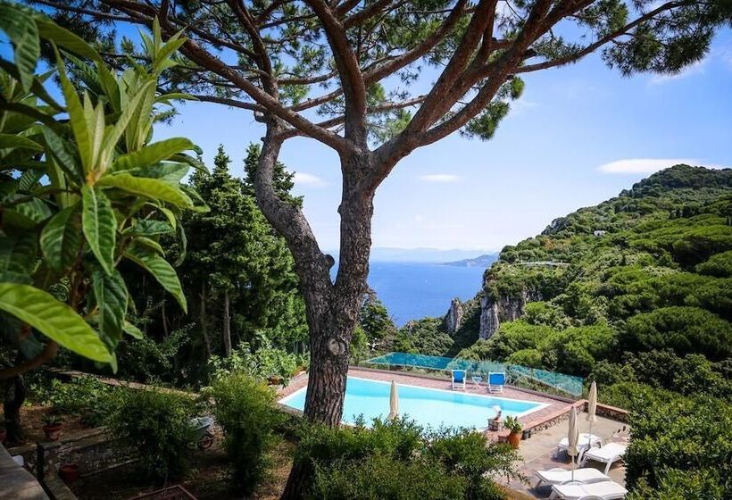 تختخواب و صبحانه Suite Villa Carolina