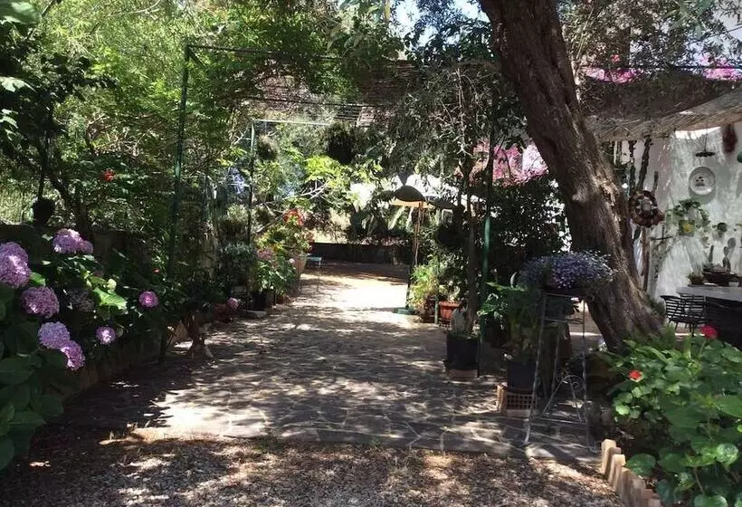 Aamiaismajoitus (B&B) Villa Isabella