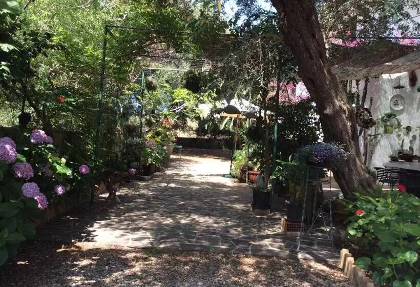 Aamiaismajoitus (B&B) Villa Isabella