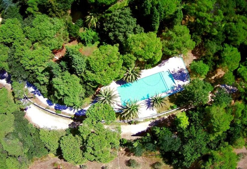 田舎風ホテル Agriturismo Poggio Al Pino