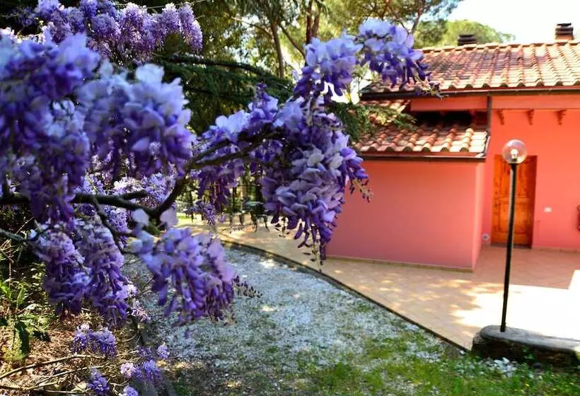 Maaseutuhotelli Agriturismo Poggio Al Pino