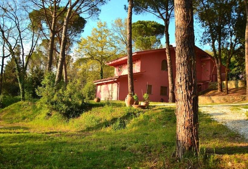 田舎風ホテル Agriturismo Poggio Al Pino