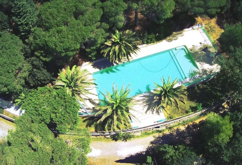 田舎風ホテル Agriturismo Poggio Al Pino