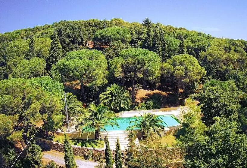 Maaseutuhotelli Agriturismo Poggio Al Pino
