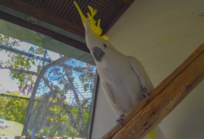 تختخواب و صبحانه La Fagianaia