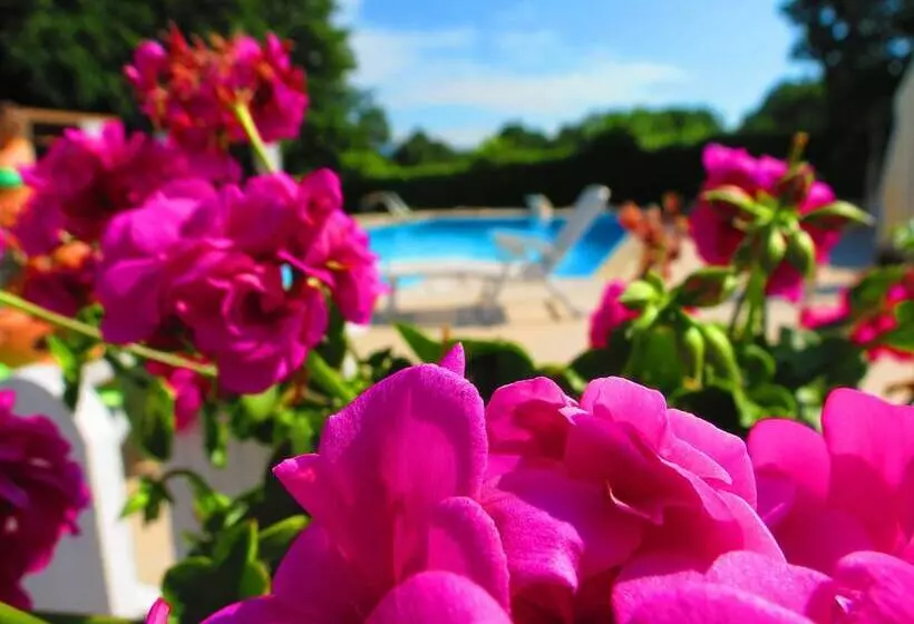 La Selva Incantata B&b