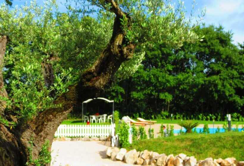 La Selva Incantata B&b