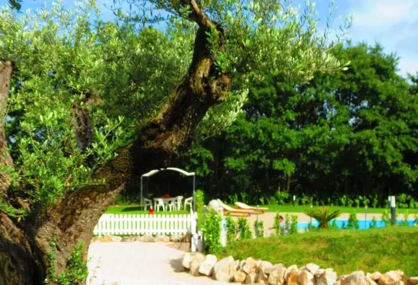 La Selva Incantata B&b