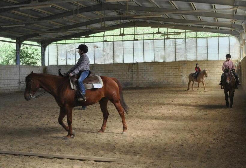 Agriturismo La Contessa Quarter Horse