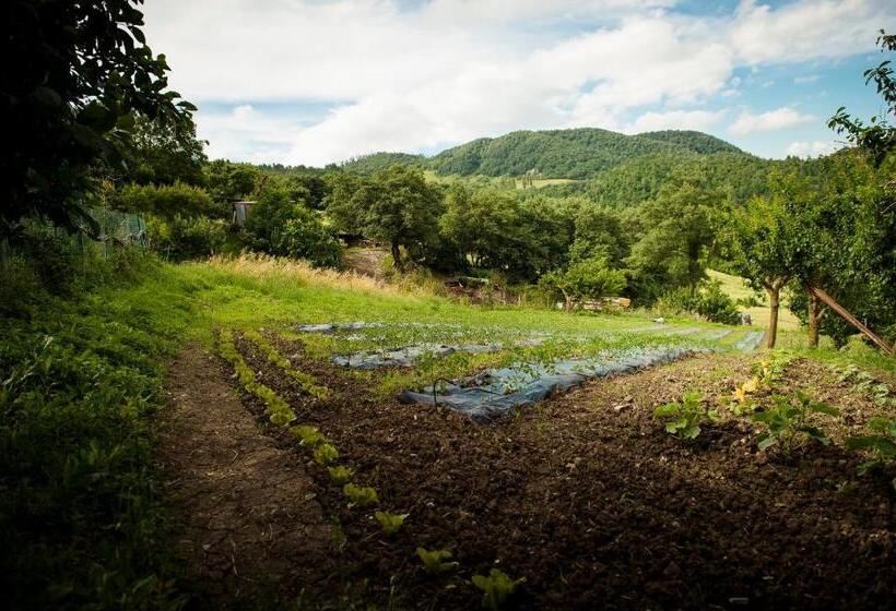 Agriturismo La Contessa Quarter Horse