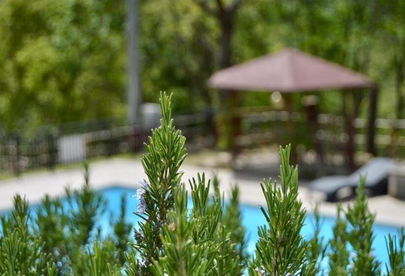 Agriturismo La Contessa Quarter Horse