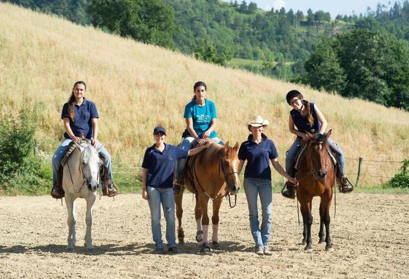 Agriturismo La Contessa Quarter Horse
