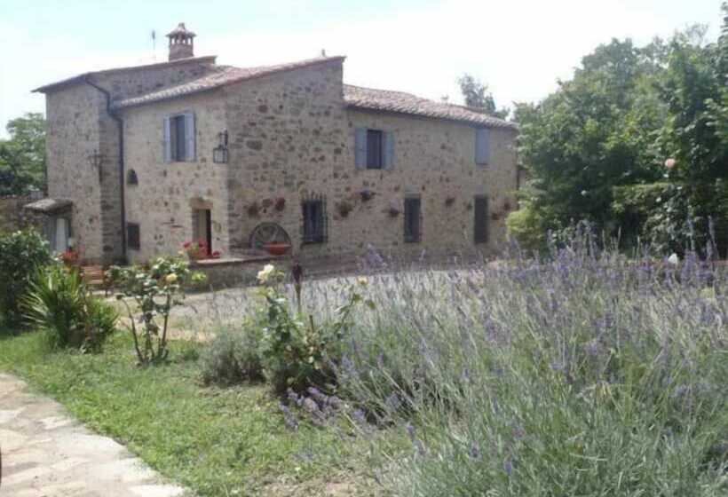 فندق ريفى Domus Etrusca