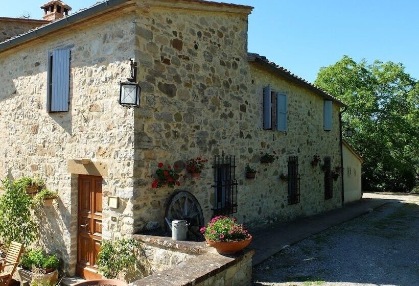 فندق ريفى Domus Etrusca