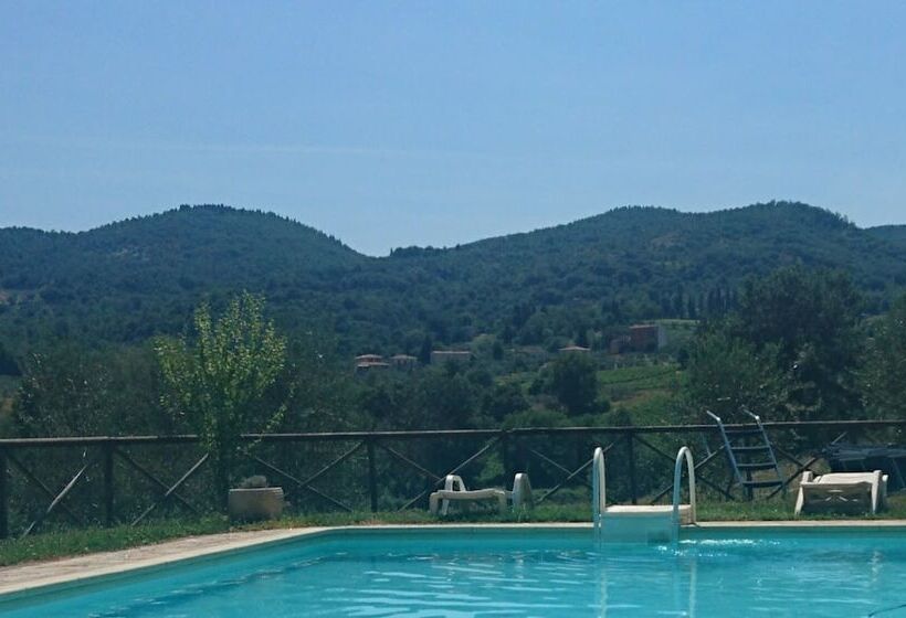 فندق ريفى Domus Etrusca