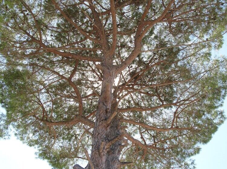 Villa Rita Bed & Breakfast