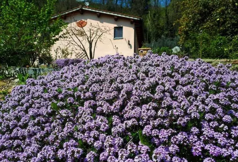 A Loro B&b