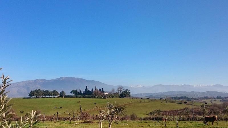 Agriturismo Terra Del Vento