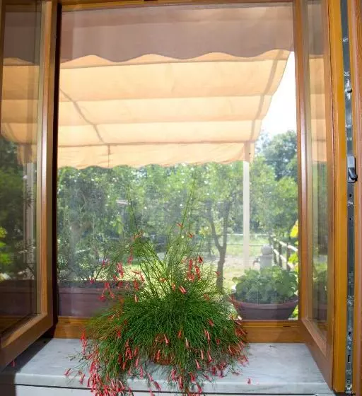 Aamiaismajoitus (B&B) Il Moro Bianco