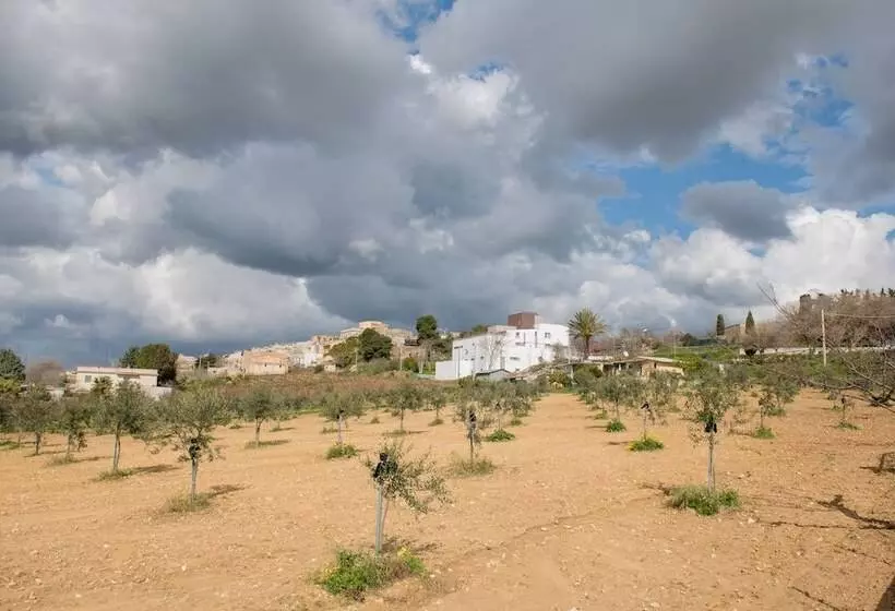 تختخواب و صبحانه La Terrazza Di Harmakhis