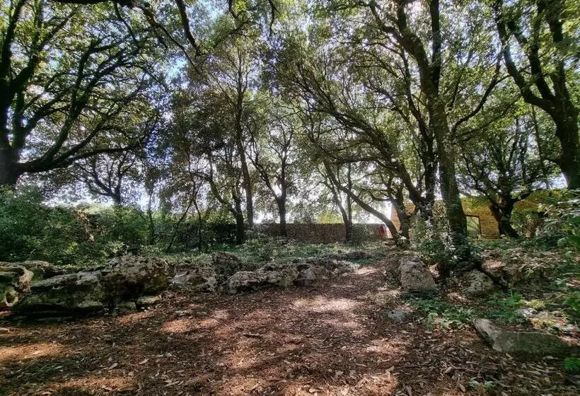 田舎風ホテル Agriturismo Iazzo Scagno