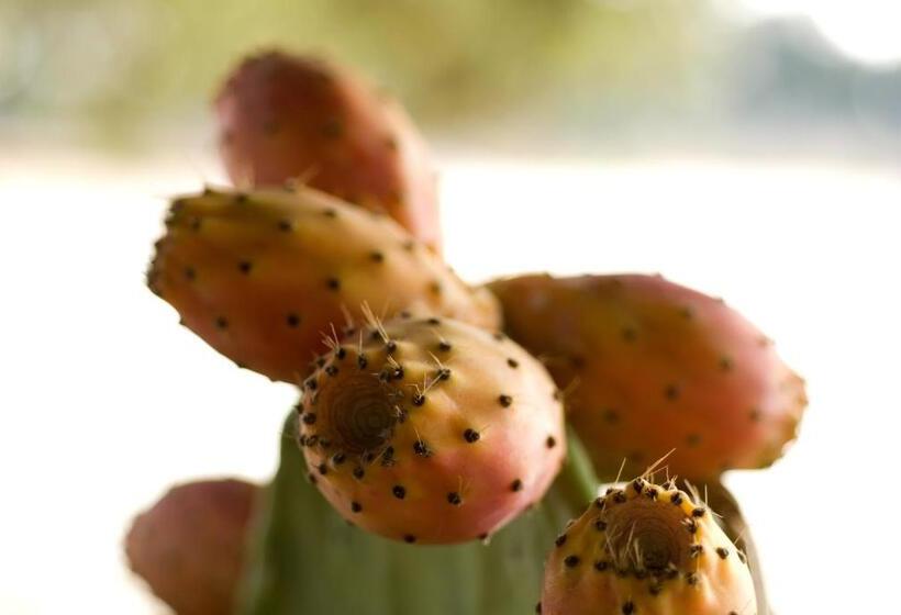 Сельский отель Agriturismo Iazzo Scagno