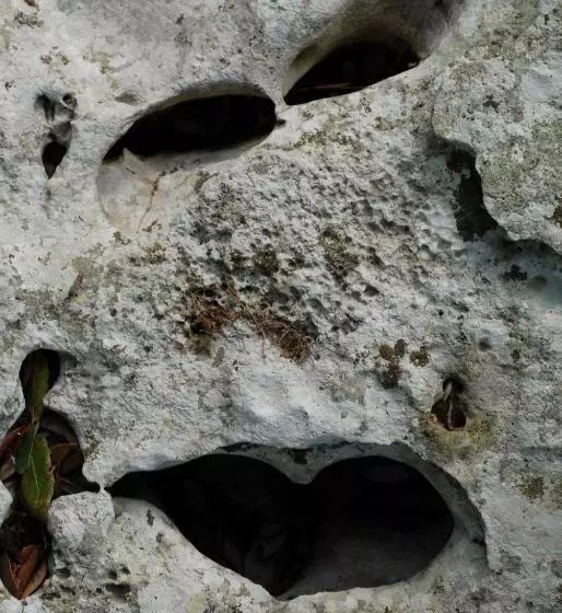 田舎風ホテル Agriturismo Iazzo Scagno