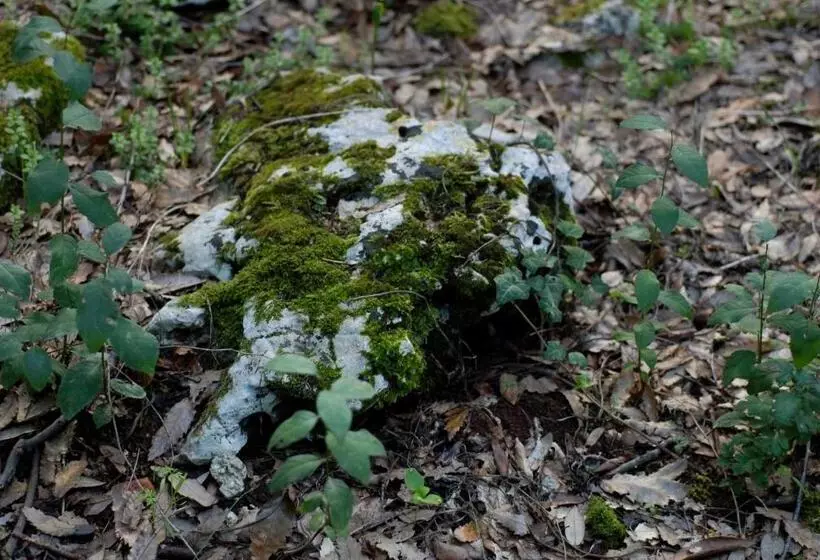田舎風ホテル Agriturismo Iazzo Scagno